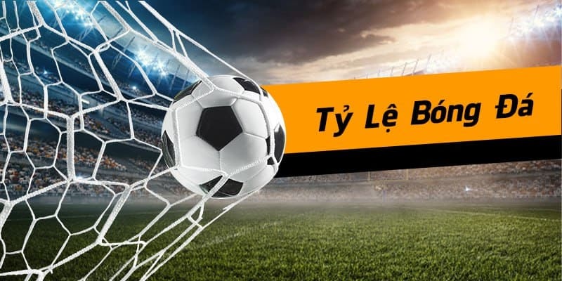 Nên chú ý khi cá độ bóng đá tại 8xbet