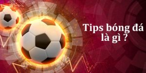 Tổng quan về tips bóng đá 8xbet