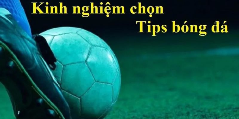 Điểm danh các loại tips phổ biến trong bóng đá 